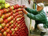 Äpfel stapeln für Anfänger