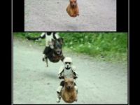 Photoshop
