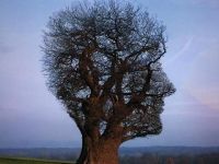 Natur Pur!