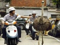 Polizei Einsatz