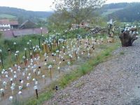Tassen im Garten