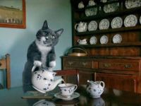 Mal einen Kaffee