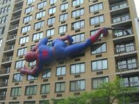 Spiderman an  der  Wand