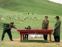 Billard