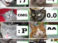 Smilies