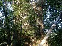 Renovierungshilfe