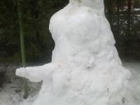 Erregter Schnee-Zwitter