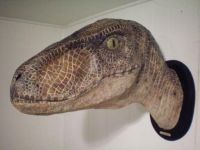 Kopf Dinosaurier