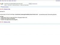 Google Anfrage