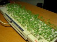 Bio Tastatur