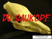 Saukopf