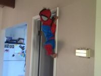 Junger Spiderman
