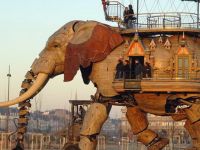Elefant aus Holz