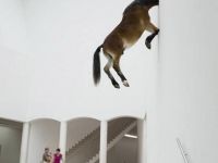 Kopf durch die Wand