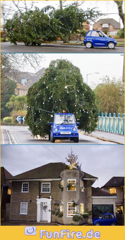 Frohes Fest