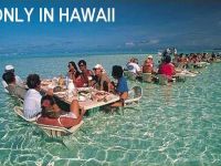 Nur in Hawaii