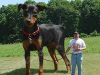 Ein ganzer Kerl