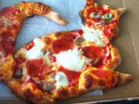 Pizza Katze