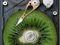Kiwi Festplatte