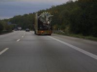 Dino auf der Autobahn
