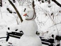 Armer Schneemann