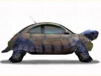 Auto und Schildkröte
