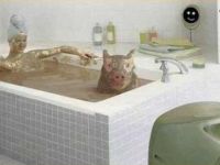 Schlammbad mit Schwein