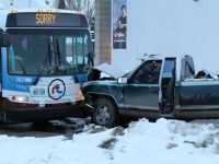 Der ,,Tut mir leid" Bus
