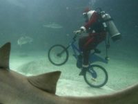 Fahrrad fahren im Wasser