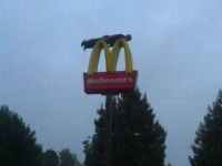 Gefährliches Planking