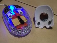 Beautymouse