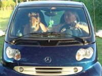 Pony im Auto