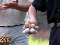 Eier in der Hand