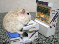 Maus vorm Computer