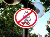 Tannenbaum skaten verboten