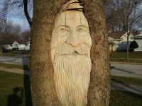 weiser Baum