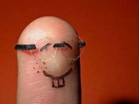 Fingerling