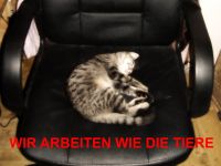 Wir arbeiten