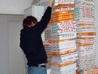 Die Pizza Schachteln der letzten Woche