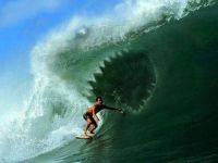 Hai Surfen
