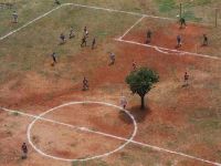 Baum auf dem Spielfeld