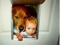 Durch die Hundklappe
