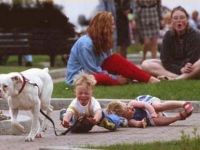 Starker Hund