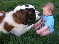 Beginn einer fFeundschaft
