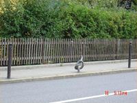 Knoten im Stahl