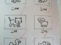 Englisch lernen