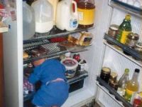 Angriff auf den Kühlschrank