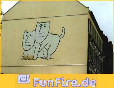 Sex an der Wand