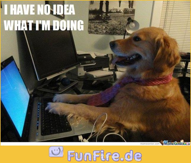 Programmierer