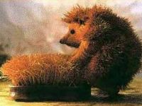 verliebter Igel